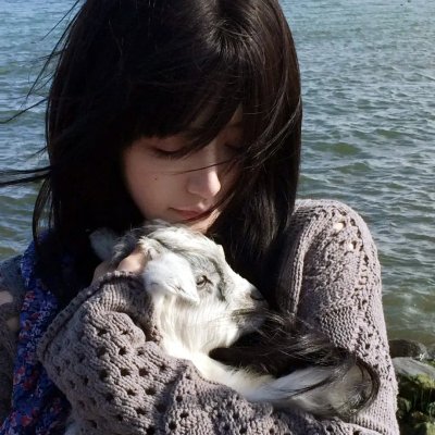 引力弹弓 封面