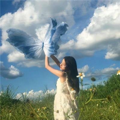 天地姻缘七仙女 封面